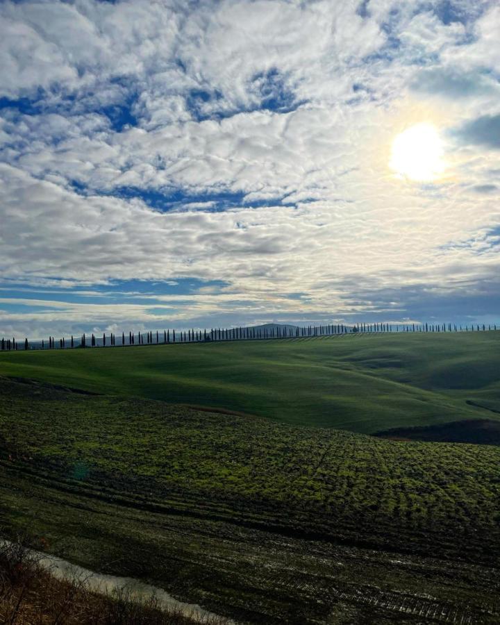 Agriturismo Bombina Montisi Exteriör bild