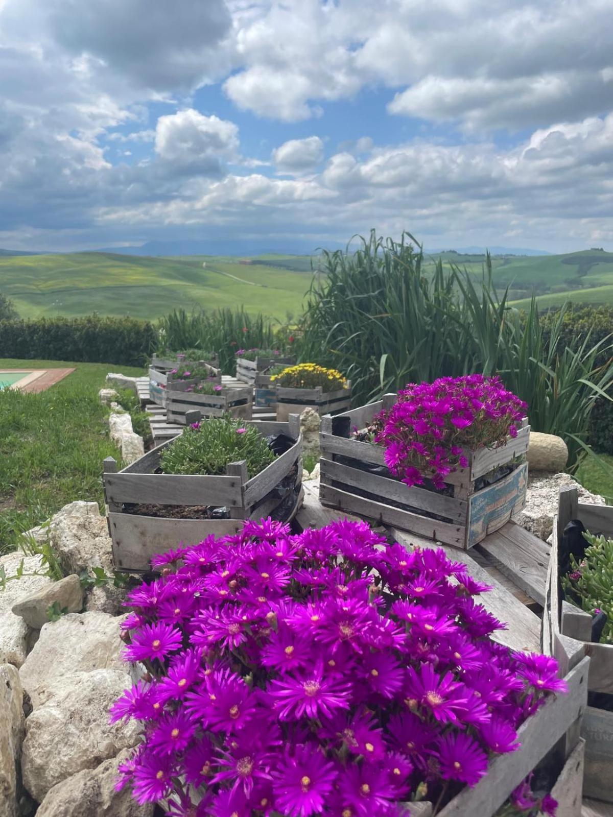 Agriturismo Bombina Montisi Exteriör bild